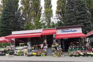 Kwiaciarnia Niezapominajka