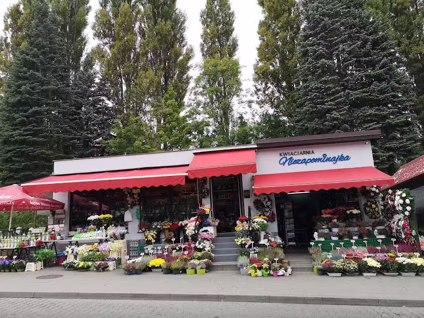 Kwiaciarnia Niezapominajka