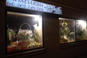 Kwiaciarnia Nova Flora