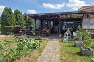 Kwiaciarnia Ogród Marzeń