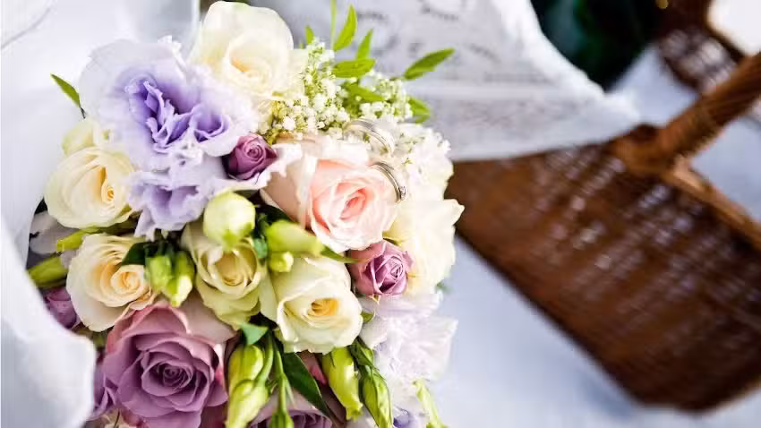 Kwiaciarnia Ogrodnictwo Antonina Schnitter (dawniej- Cz. Górkiewicz)