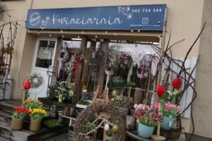 Kwiaciarnia Olivia Decor