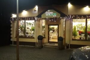 Kwiaciarnia Olsztyn – Wrzos.
