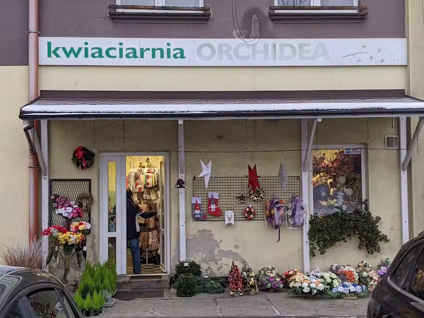 Kwiaciarnia Orchidea