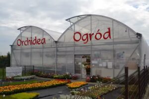 Kwiaciarnia Orchidea
