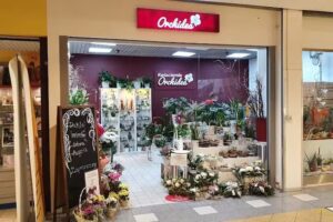 Kwiaciarnia Orchidea