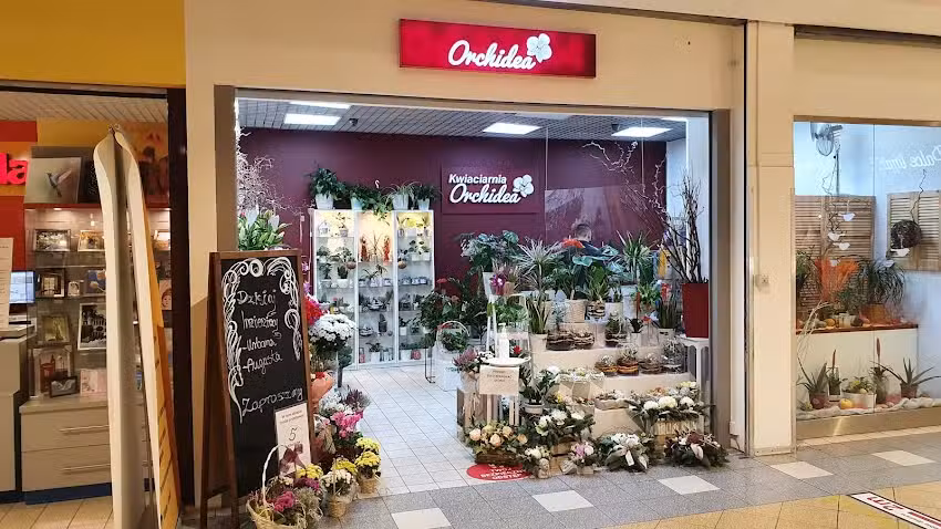 Kwiaciarnia Orchidea