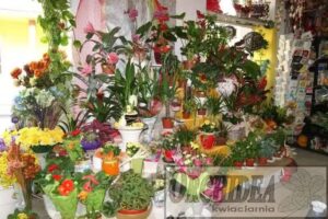 Kwiaciarnia „Orchidea”