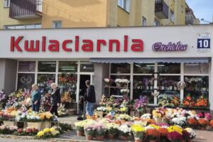 Kwiaciarnia Orchidea