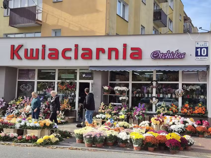 Kwiaciarnia Orchidea