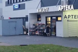 Kwiaciarnia Orchidea