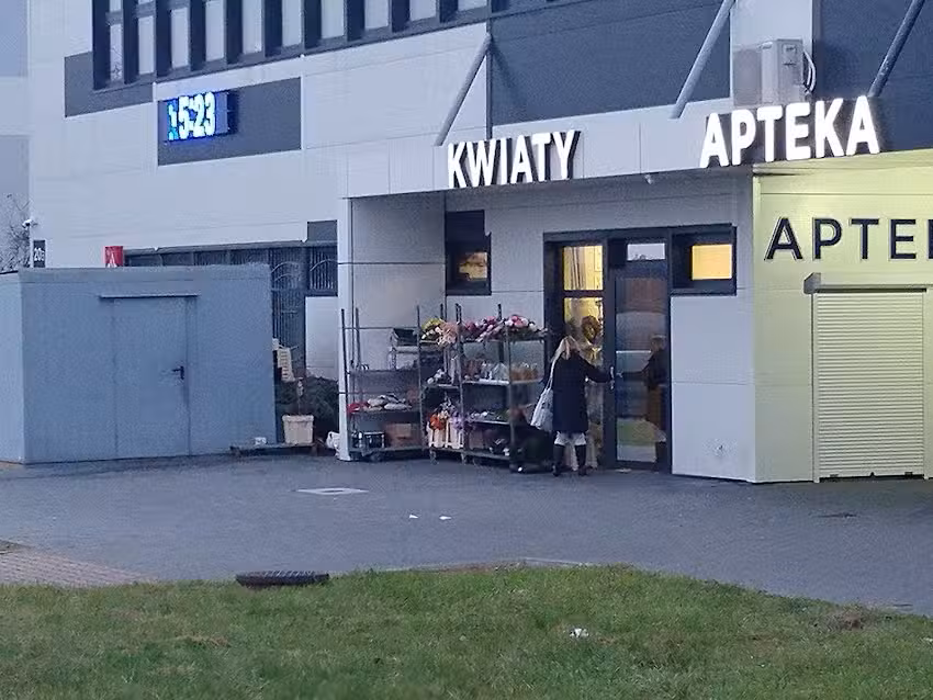 Kwiaciarnia Orchidea