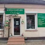 Kwiaciarnia Orchidea