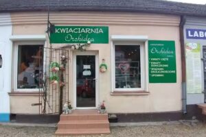 Kwiaciarnia Orchidea