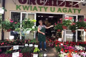 Kwiaciarnia Orchidea