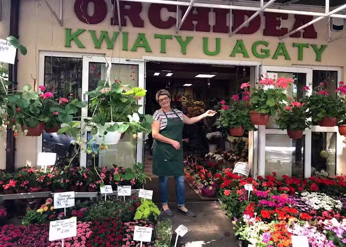 Kwiaciarnia Orchidea