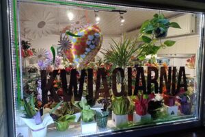 Kwiaciarnia Orchidea Czechowice