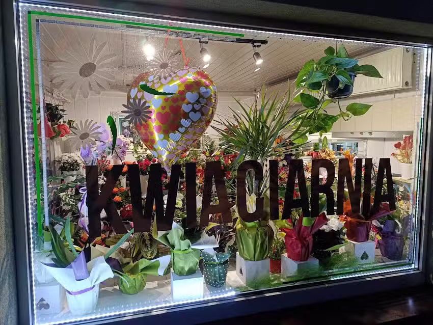 Kwiaciarnia Orchidea Czechowice