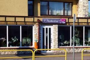 Kwiaciarnia Orchidea Elżbieta Błażejewska