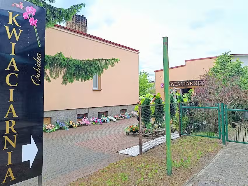 Kwiaciarnia Orchidea Renata Demczuk