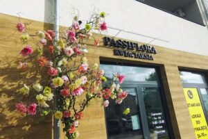 Kwiaciarnia Passiflora