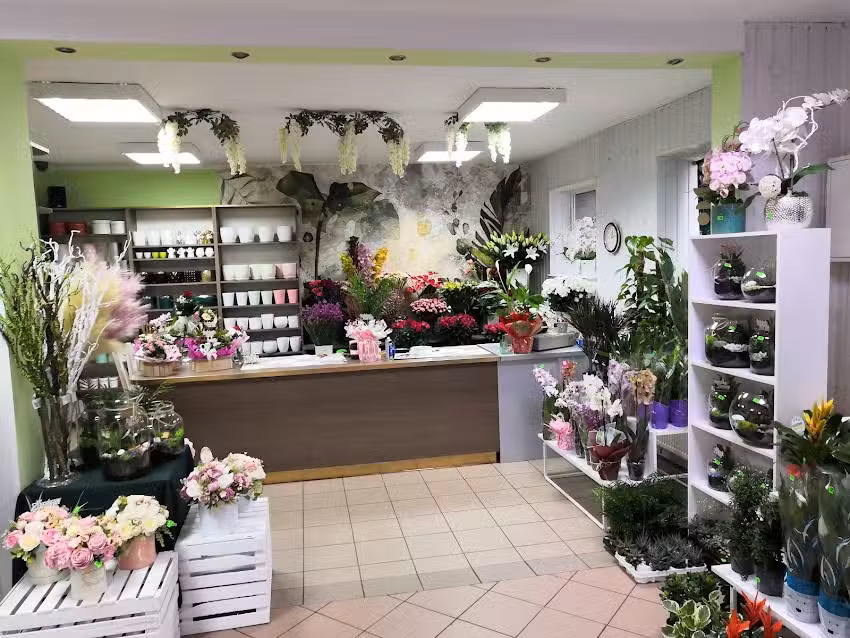 Kwiaciarnia Paulina Krasińska