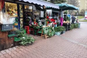 Kwiaciarnia Piękna Orchidea