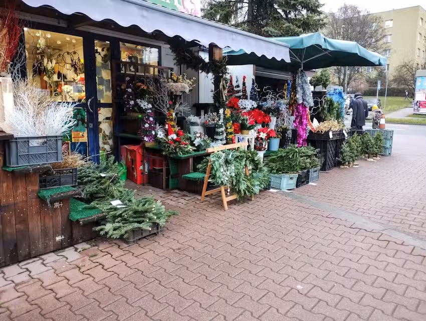 Kwiaciarnia Piękna Orchidea