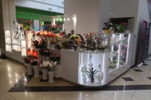 Kwiaciarnia Plaza Sosnowiec