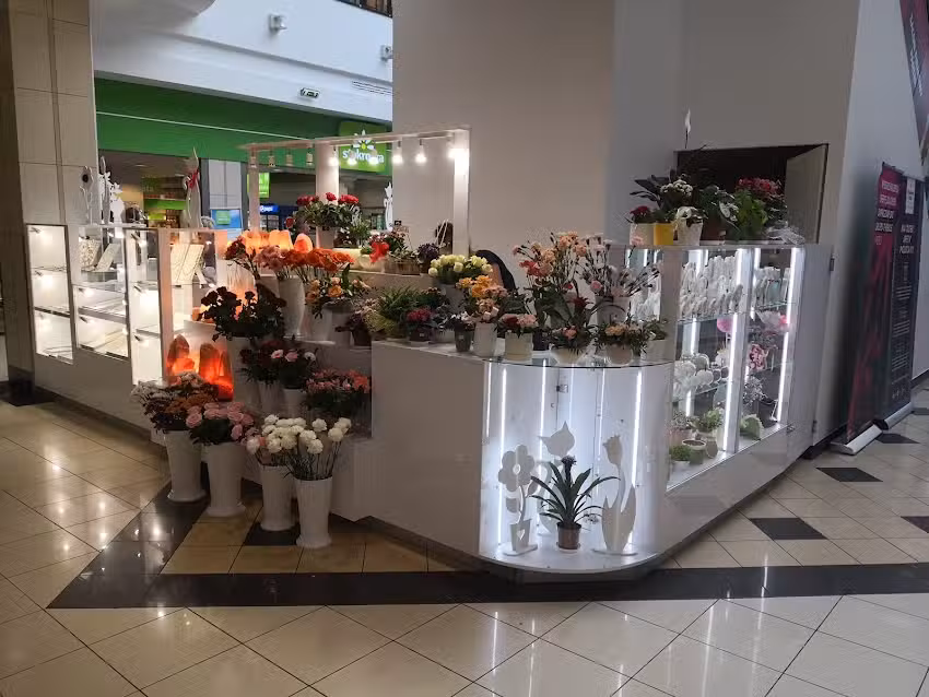 Kwiaciarnia Plaza Sosnowiec