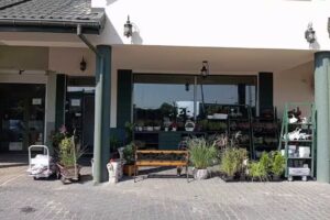 Kwiaciarnia Płochocin – „W krainie kwiatów”