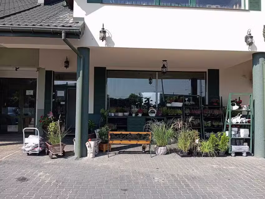 Kwiaciarnia Płochocin – „W krainie kwiatów”