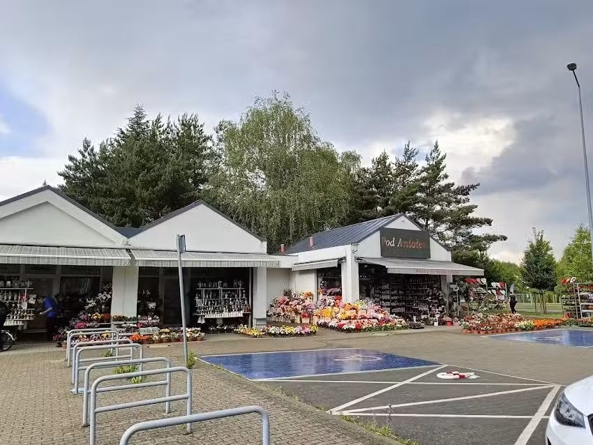 Kwiaciarnia Pod Aniołem