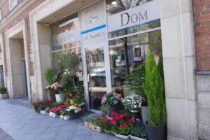 Kwiaciarnia Pod Aniołem