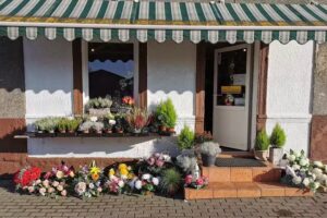 Kwiaciarnia Pod Kasztanami