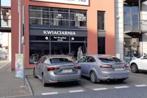 Kwiaciarnia „Pod Skrzydłami Anioła”