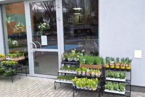 Kwiaciarnia Pod Skrzydłami Dęblin