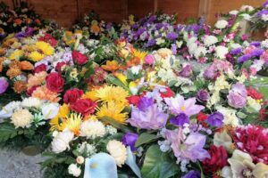 KWIACIARNIA „POD TUJAMI”