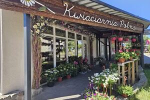 Kwiaciarnia Polna