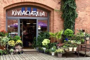 Kwiaciarnia Poznań Gintrowicz Flowers