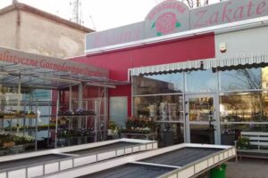 Kwiaciarnia Poznań – Różany Zakątek