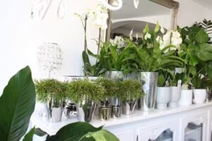 Kwiaciarnia/pracownia florystyczna Bukietnik