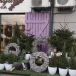 Kwiaciarnia Prowansja