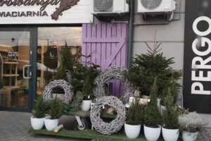 Kwiaciarnia Prowansja