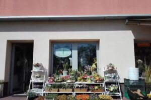 Kwiaciarnia Republika Róż