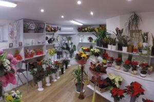 Kwiaciarnia ROSA Pradelok Piotr