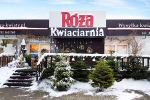Kwiaciarnia Róża