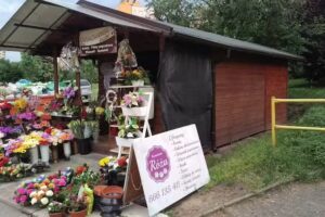 Kwiaciarnia Róża I Ja