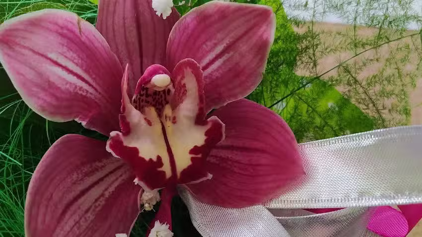 Kwiaciarnia Róża. Miód z własnej pasieki.