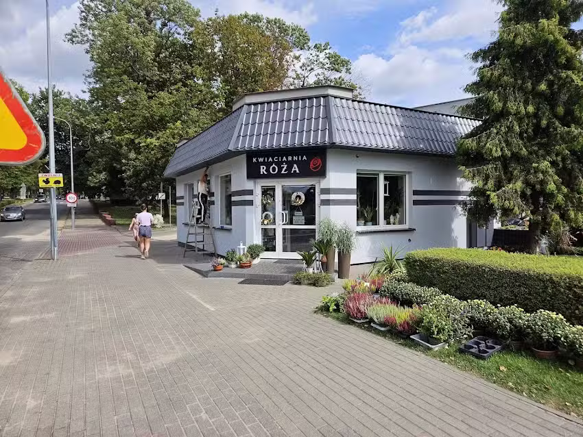 Kwiaciarnia Róża Rypin